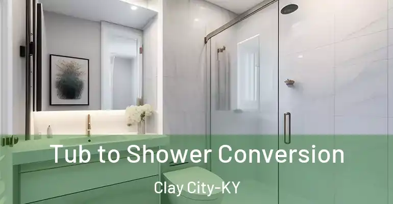 inner Bathroom imggen Tub to Shower Conversion Clay City-KY