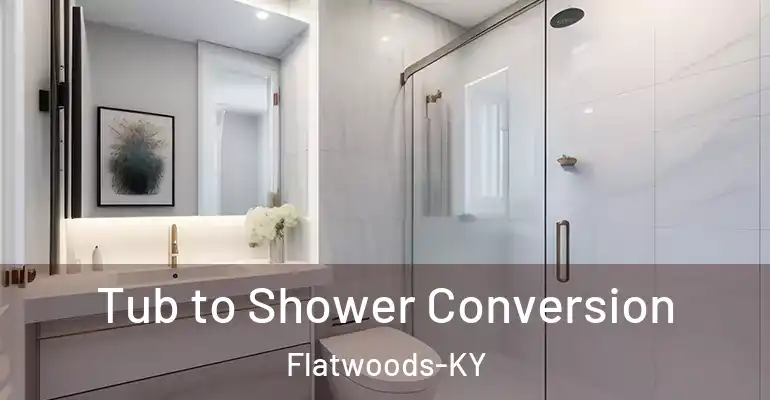 inner Bathroom imggen Tub to Shower Conversion Flatwoods-KY