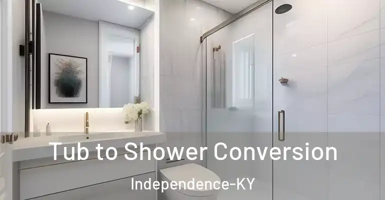inner Bathroom imggen Tub to Shower Conversion Independence-KY