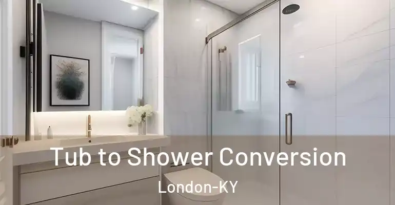 inner Bathroom imggen Tub to Shower Conversion London-KY