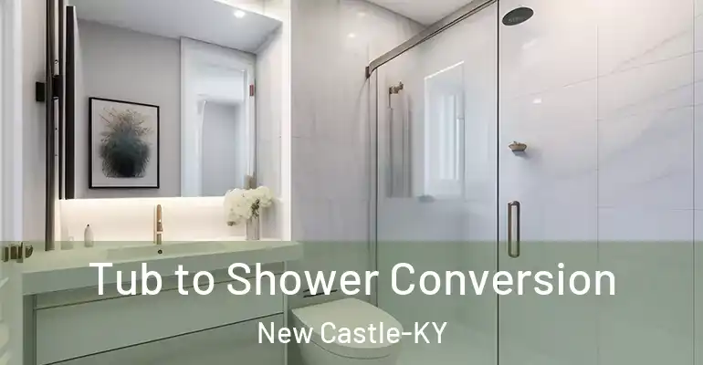 inner Bathroom imggen Tub to Shower Conversion New Castle-KY