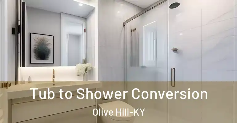 inner Bathroom imggen Tub to Shower Conversion Olive Hill-KY