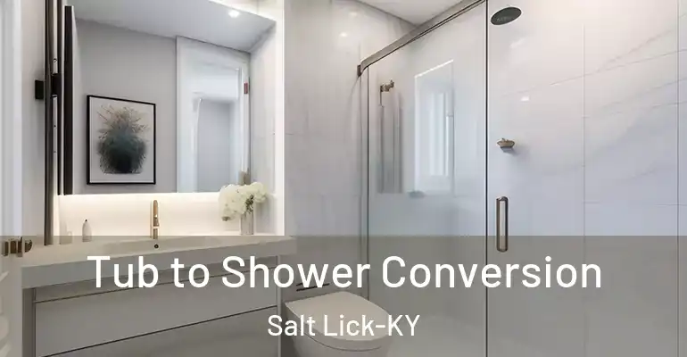 inner Bathroom imggen Tub to Shower Conversion Salt Lick-KY