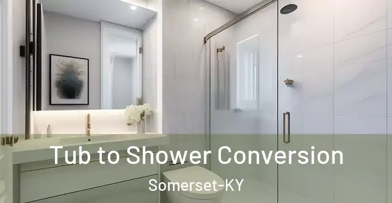inner Bathroom imggen Tub to Shower Conversion Somerset-KY