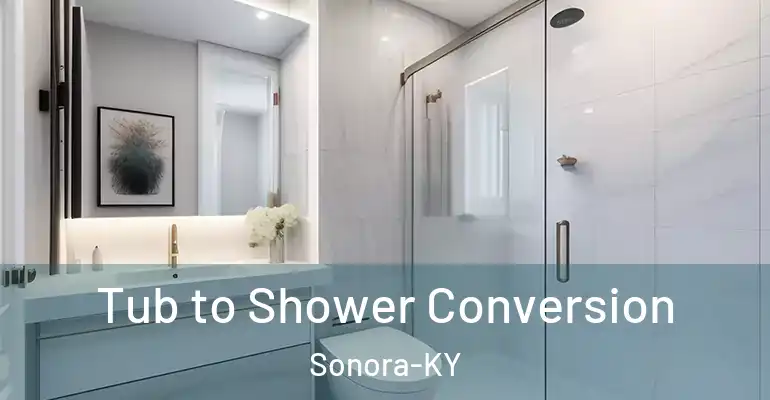 inner Bathroom imggen Tub to Shower Conversion Sonora-KY