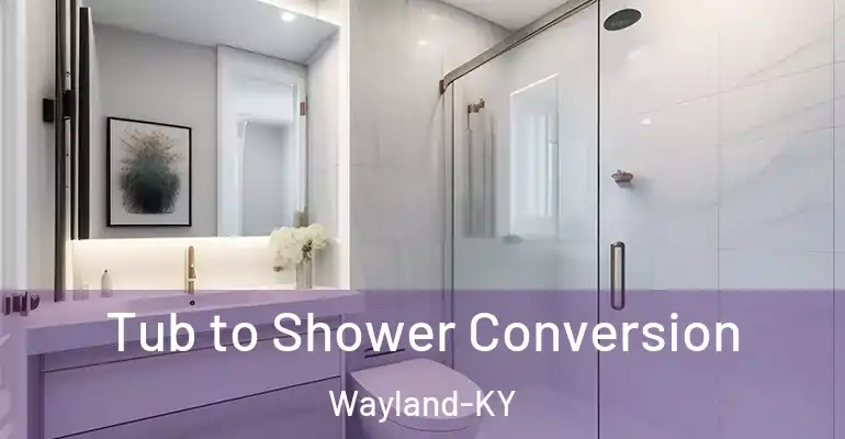 inner Bathroom imggen Tub to Shower Conversion Wayland-KY