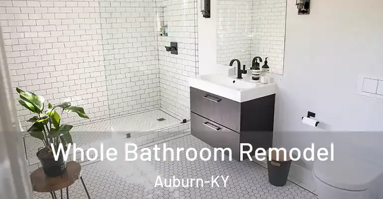 inner Bathroom imggen Whole Bathroom Remodel Auburn-KY