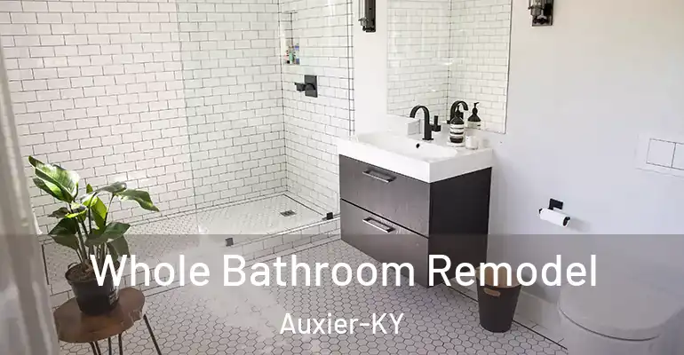 inner Bathroom imggen Whole Bathroom Remodel Auxier-KY