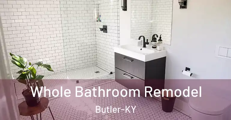 inner Bathroom imggen Whole Bathroom Remodel Butler-KY