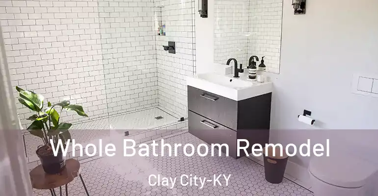 inner Bathroom imggen Whole Bathroom Remodel Clay City-KY