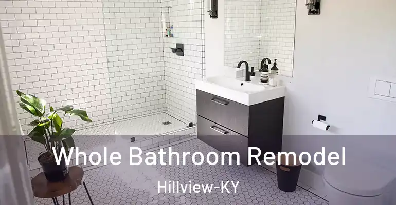 inner Bathroom imggen Whole Bathroom Remodel Hillview-KY
