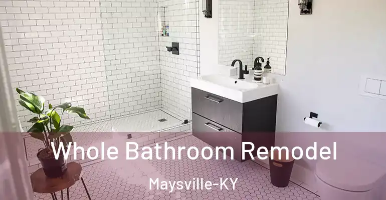 inner Bathroom imggen Whole Bathroom Remodel Maysville-KY