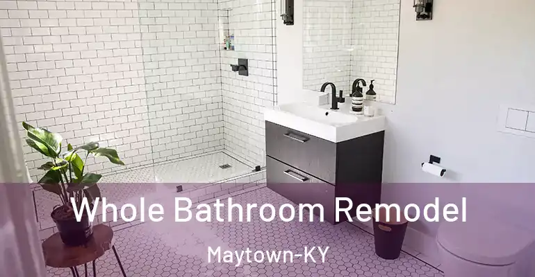 inner Bathroom imggen Whole Bathroom Remodel Maytown-KY