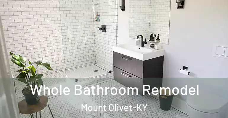 inner Bathroom imggen Whole Bathroom Remodel Mount Olivet-KY