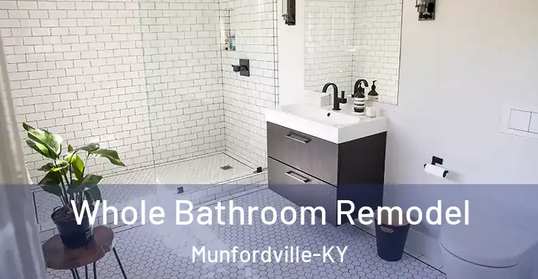 inner Bathroom imggen Whole Bathroom Remodel Munfordville-KY