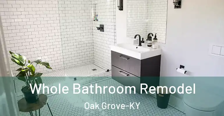 inner Bathroom imggen Whole Bathroom Remodel Oak Grove-KY