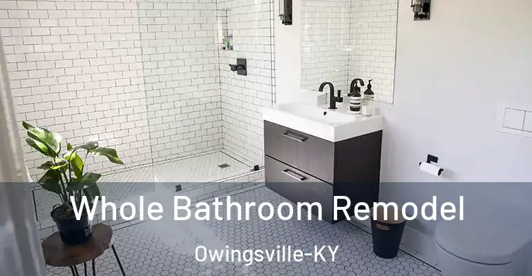inner Bathroom imggen Whole Bathroom Remodel Owingsville-KY
