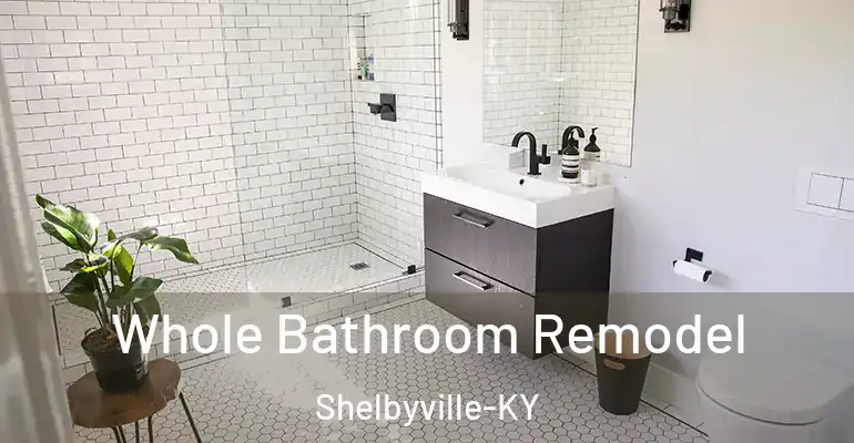 inner Bathroom imggen Whole Bathroom Remodel Shelbyville-KY