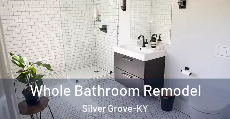 inner Bathroom imggen Whole Bathroom Remodel Silver Grove-KY