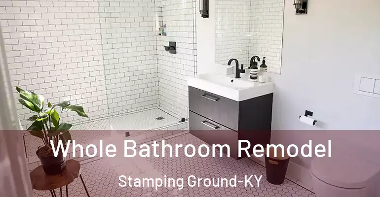 inner Bathroom imggen Whole Bathroom Remodel Stamping Ground-KY