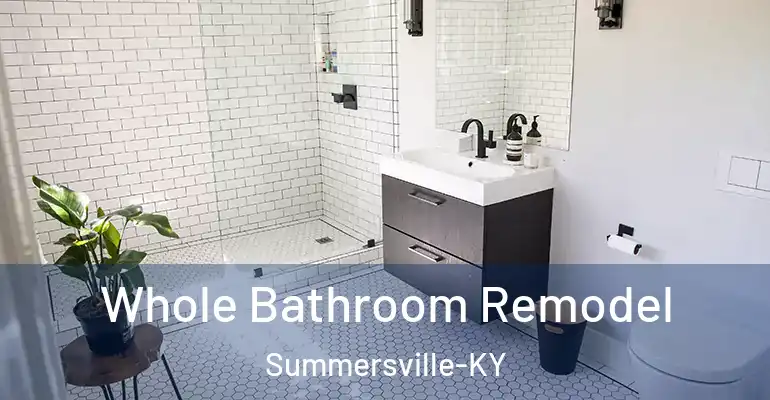 inner Bathroom imggen Whole Bathroom Remodel Summersville-KY